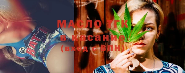 мдпв Ладушкин