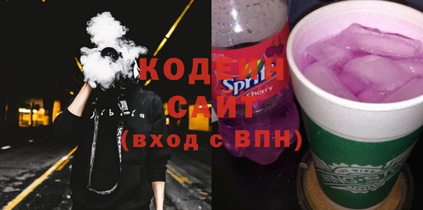 мдпв Ладушкин