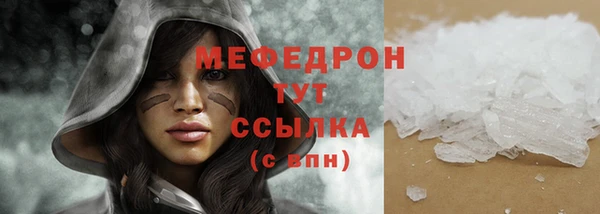 мдпв Ладушкин