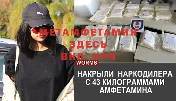 мдпв Ладушкин