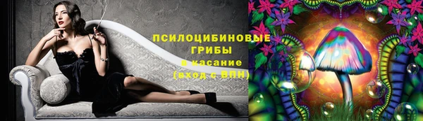мдпв Ладушкин