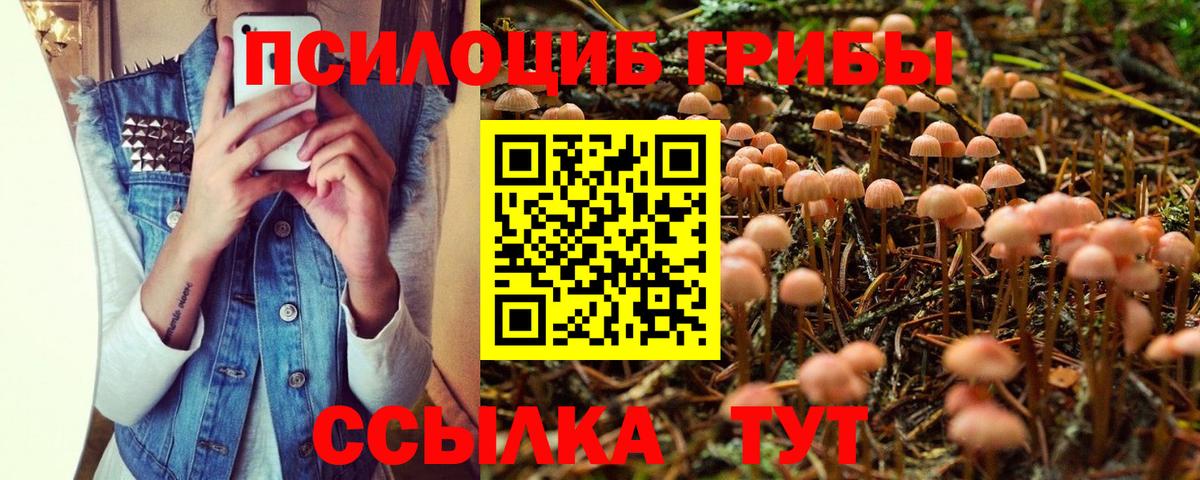 Галлюциногенные грибы мухоморы Южно-Сахалинск