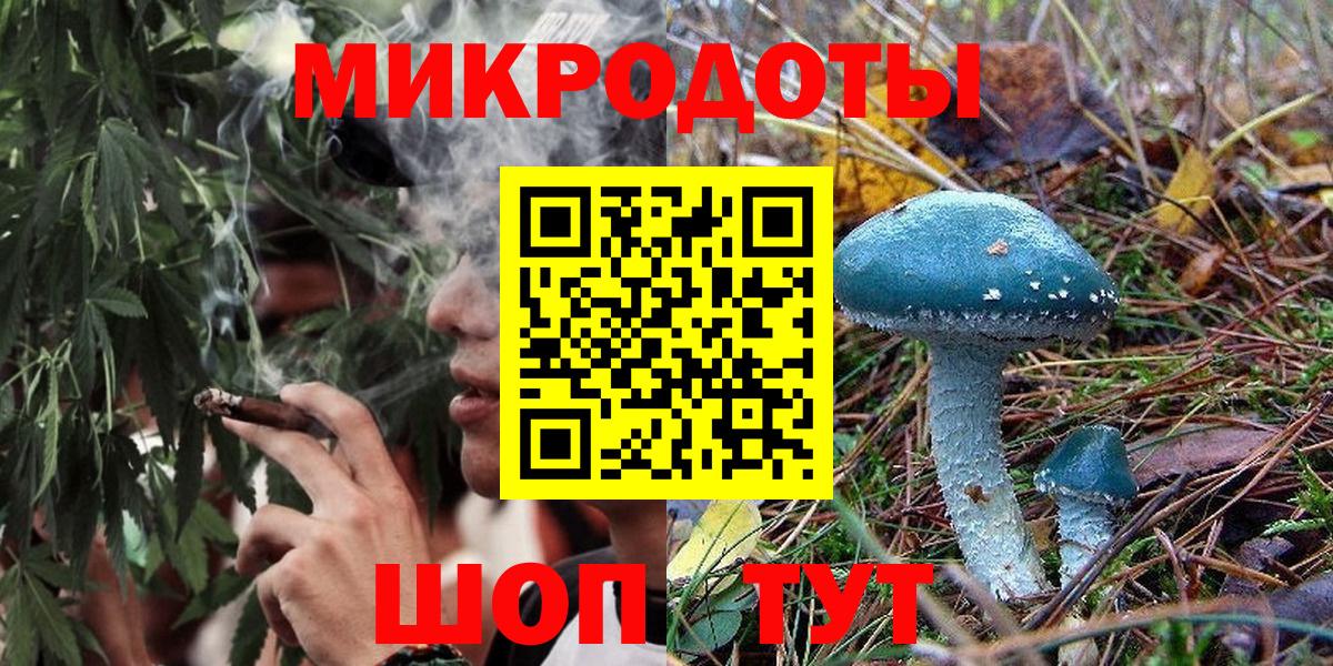 Южно-Сахалинск  Псилоцибиновые грибы GOLDEN TEACHER  купить наркотик  Вход с VPN 